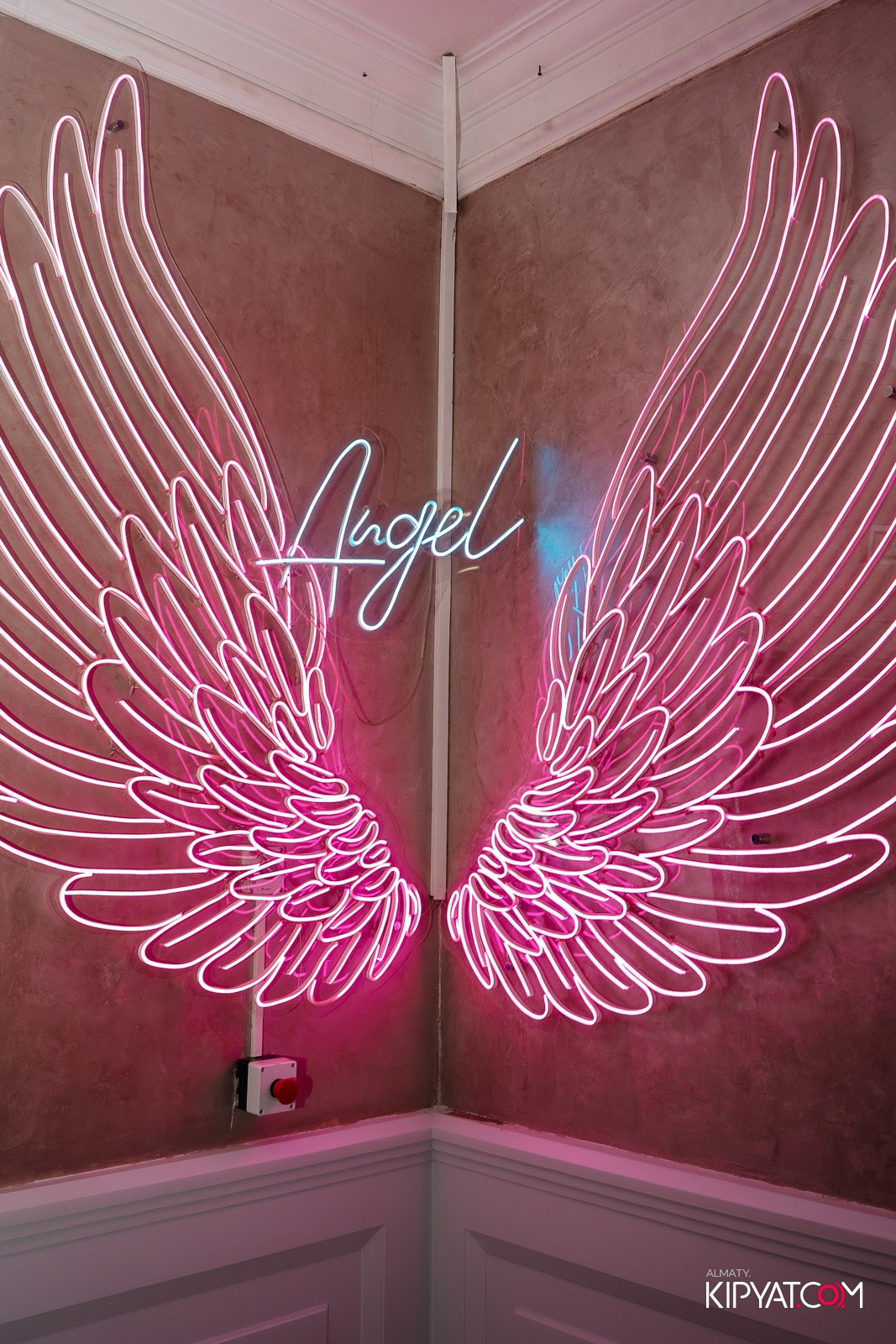 УХО И МЕДВЕДЬ НА КУРМАНГАЗЫ. КИПЯТКОМ АЛМАТЫ!