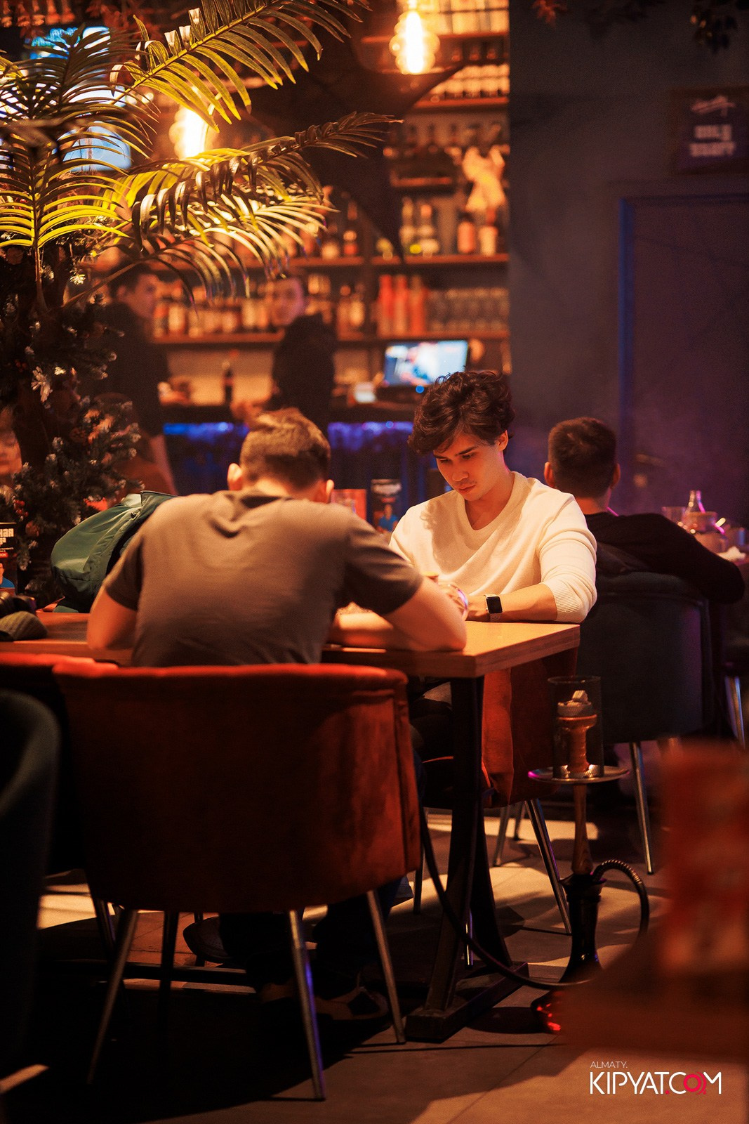 VICE CITY. КИПЯТКОМ АЛМАТЫ! Фотосъемка мероприятий в Алматы