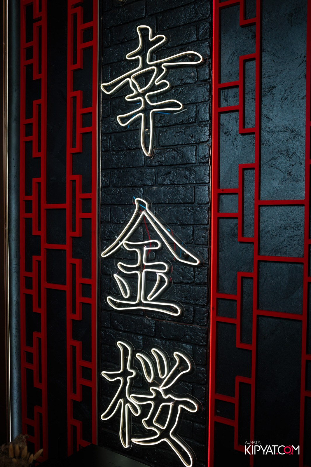 УХО И МЕДВЕДЬ НА КУРМАНГАЗЫ. КИПЯТКОМ АЛМАТЫ!