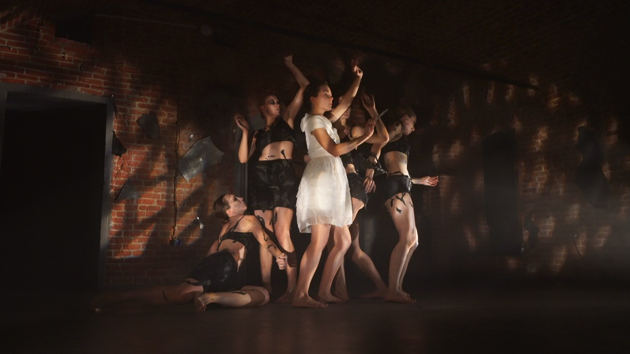 Красное дерево. Фото / Видеосъемка в Москве