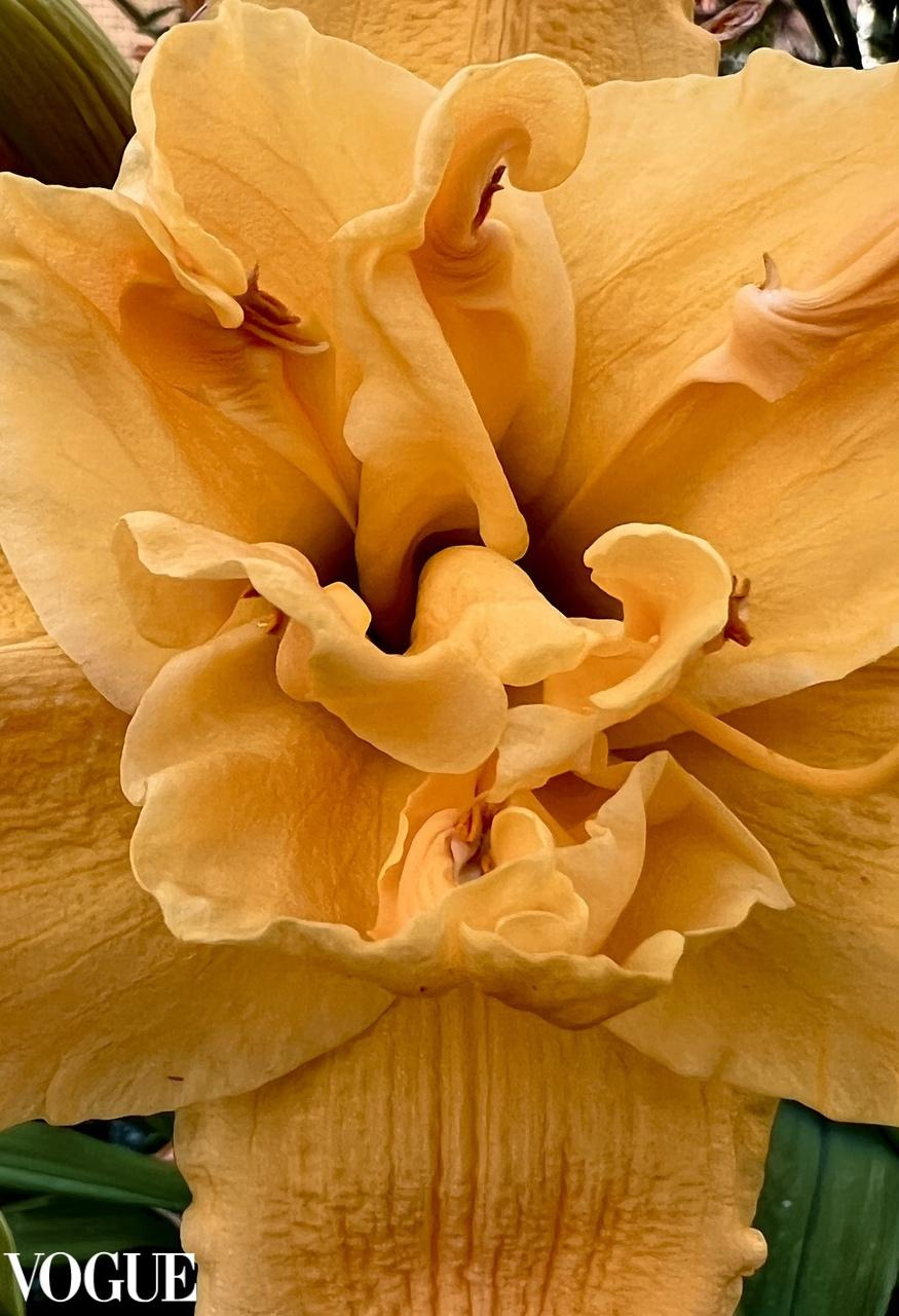 PhotoVogue ITALY. Фотограф вашей улыбки. Москва