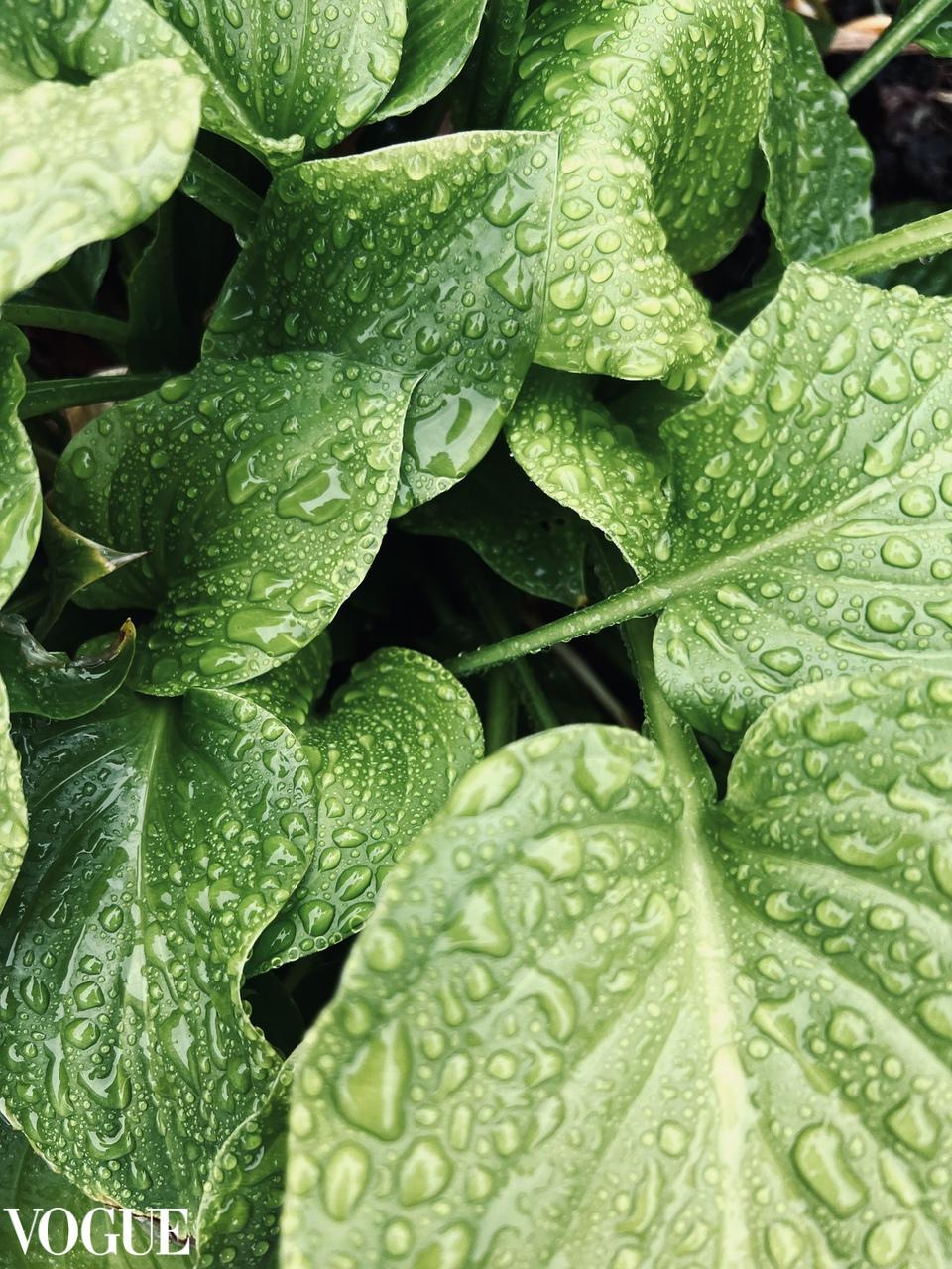 PhotoVogue ITALY. Фотограф вашей улыбки. Москва