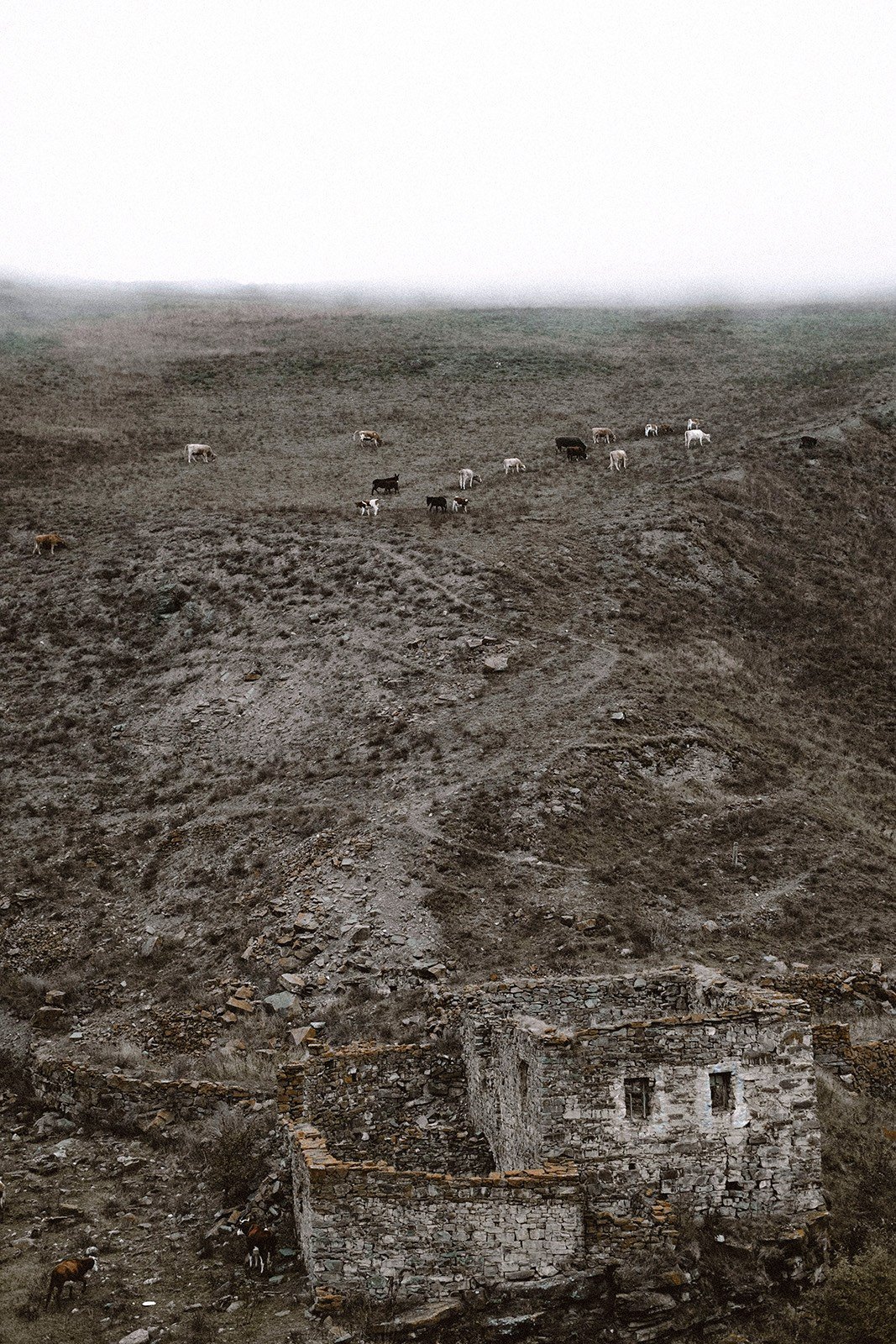 Prints. North Ossetia