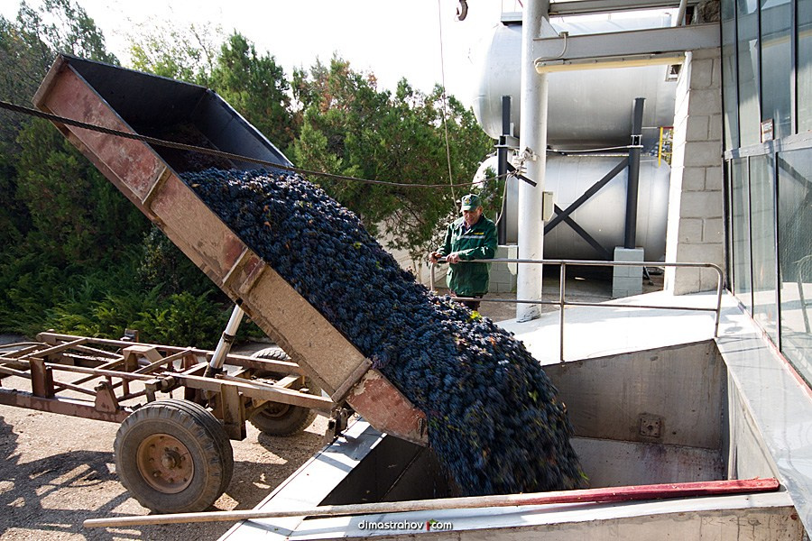 Винзавод Качинский +. Свадебный фотограф, фотосъемка в Крыму, Севастополе, Симферополе, Ялте