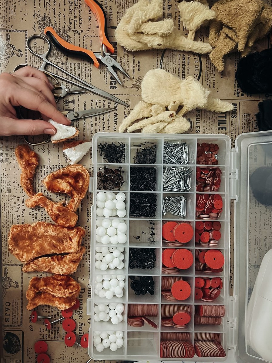 Тедди. Фотограф Ольга Сальманович