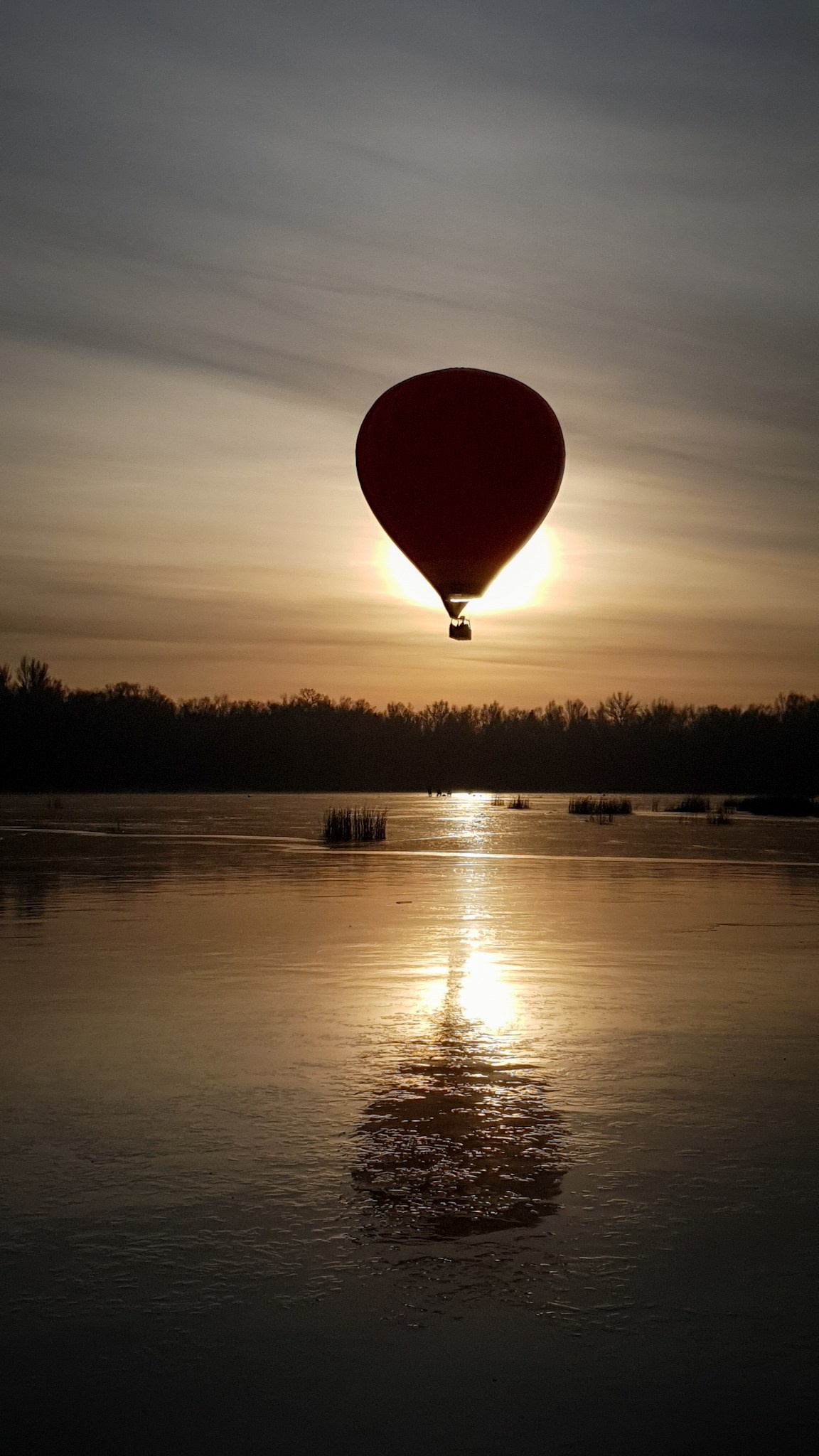 Nature. Андрей Пиотровский. Фотограф