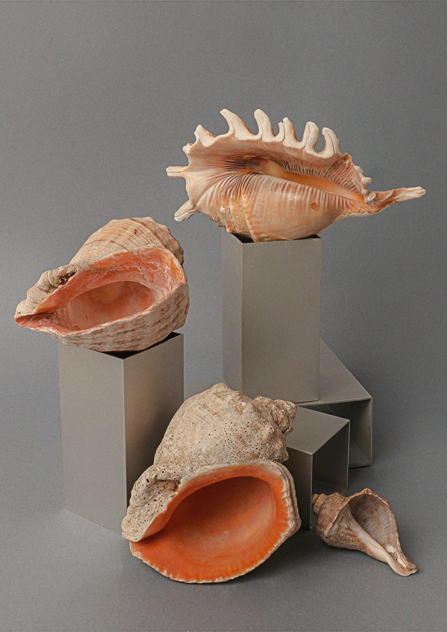 Предметная съёмка. Фотограф, видеограф -Александр Антонян