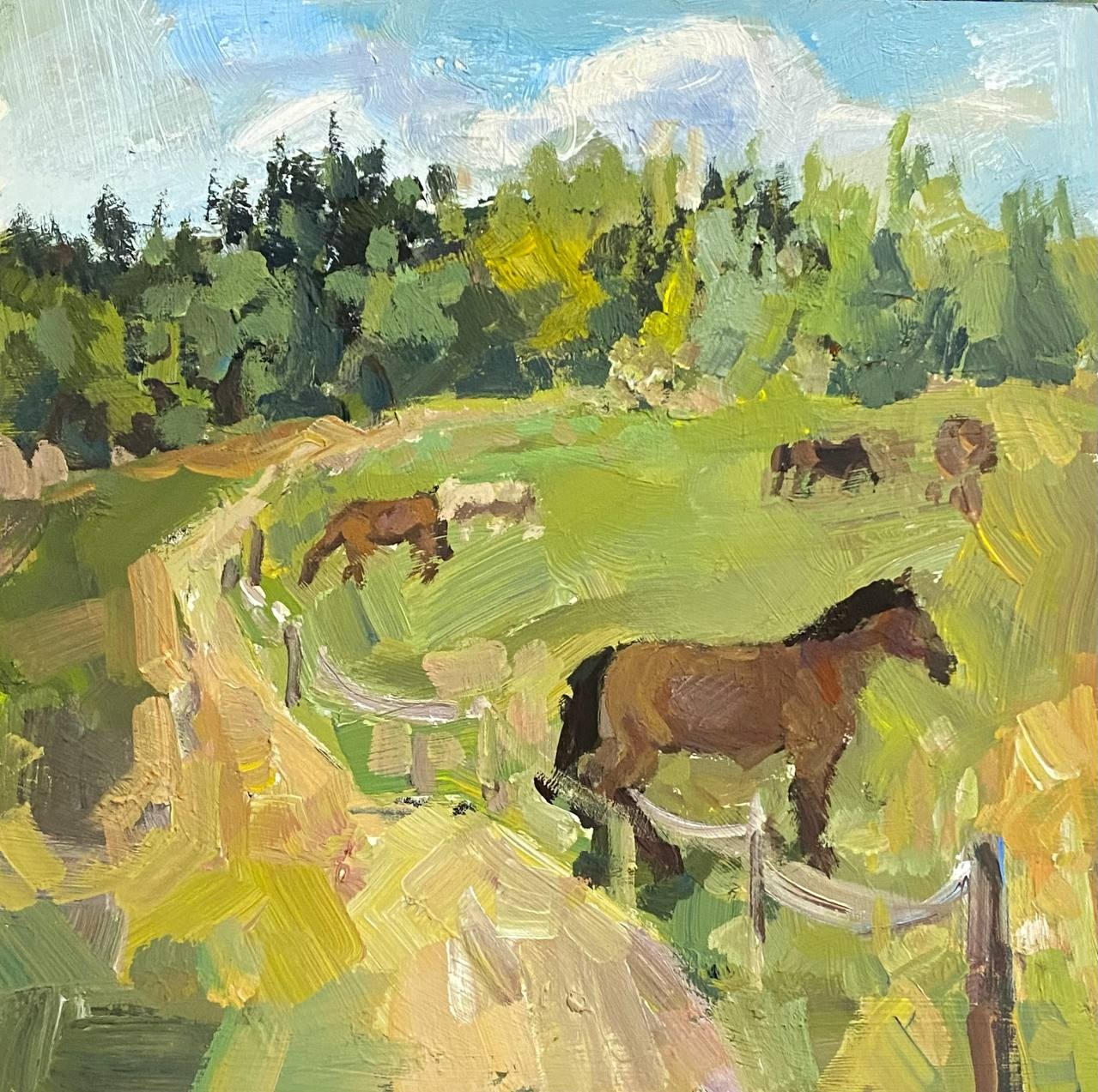 Академические работы. Костюмер, художник кино и телевидения в спб