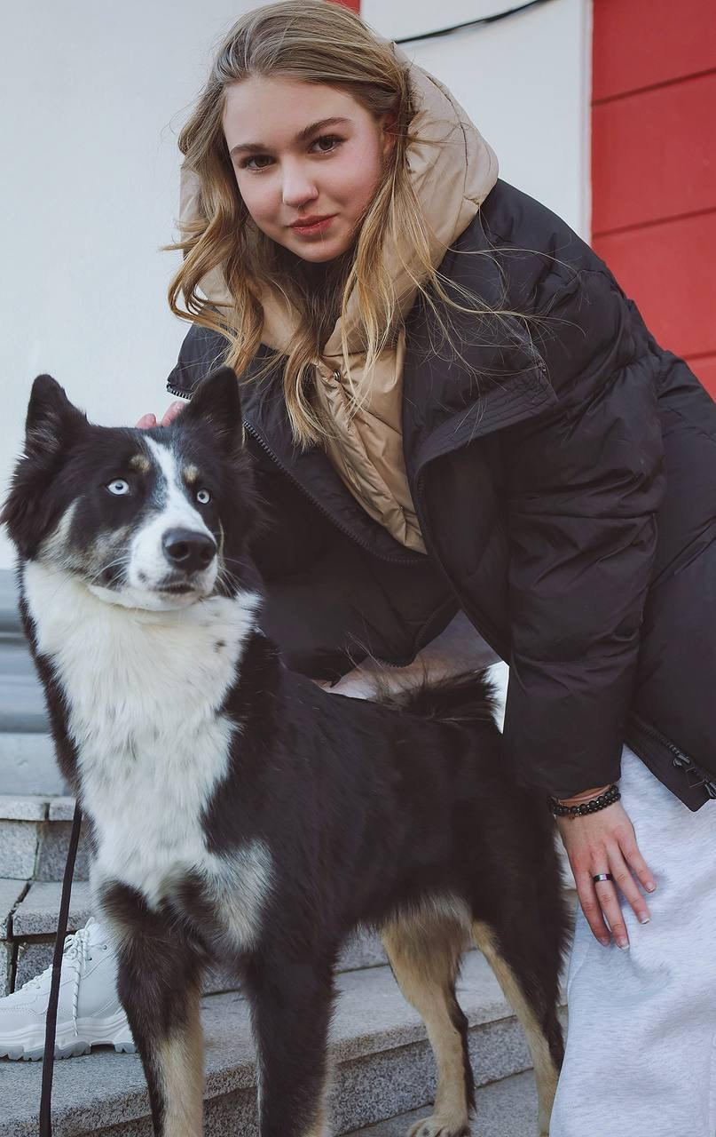 Четвероногий друг. V I KA P H O T O