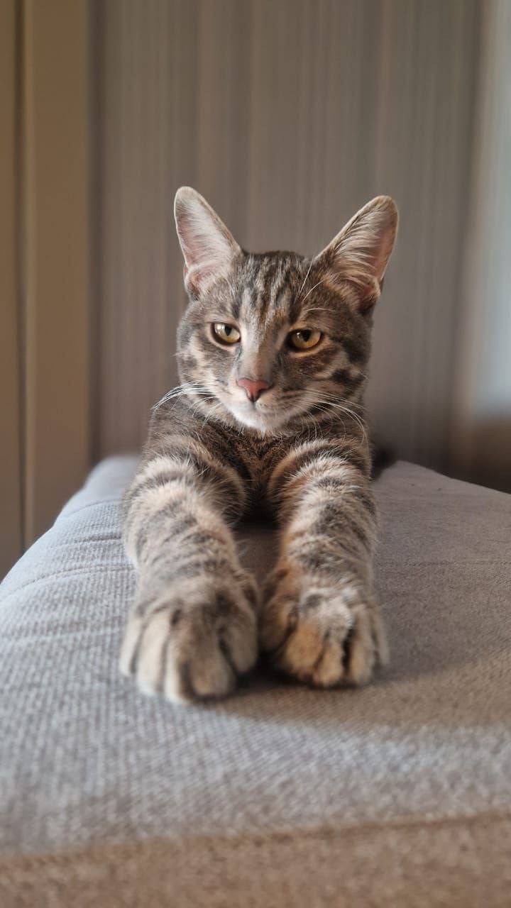 Мобильная фотография. Фотограф г. Владивосток