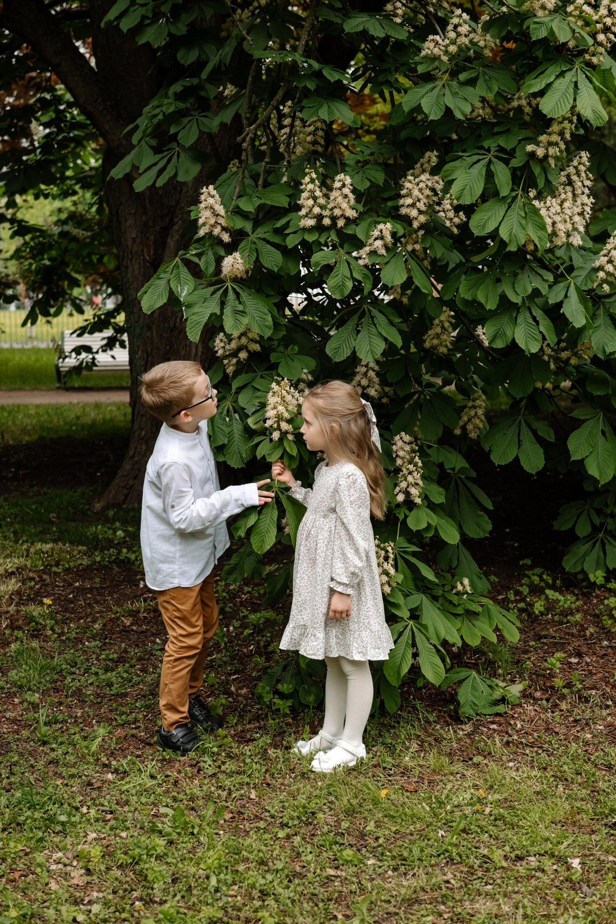 Съемка в цветении. Список мест и время цветения. Свадебный и семейный фотограф в Санкт-Петербурге Елена Худякова