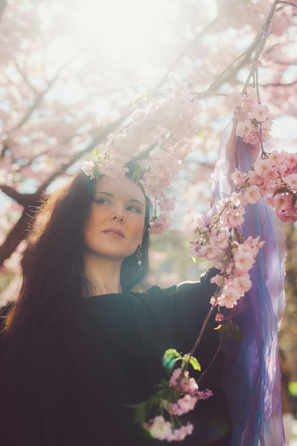 Сакура в саду дружбы. Семейный, портретный и свадебный фотограф в Санкт-Петербурге и Москве