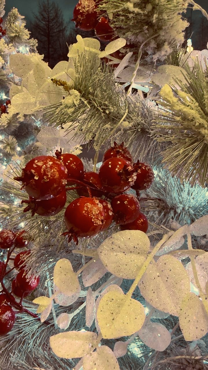 Арт-Колыма Ярмарка. Портретный и репортажный фотограф в Магадане Андрей Нефедов WinterCatPhoto