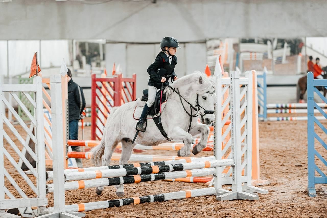 ЧЕМПИОНАТ РАМЕНСКОГО ГОРОДСКОГО ОКРУГА ПО КОНКУРУ в КСК «СОЗВЕЗДИЕ». Куракина Дарья • Конный фотограф