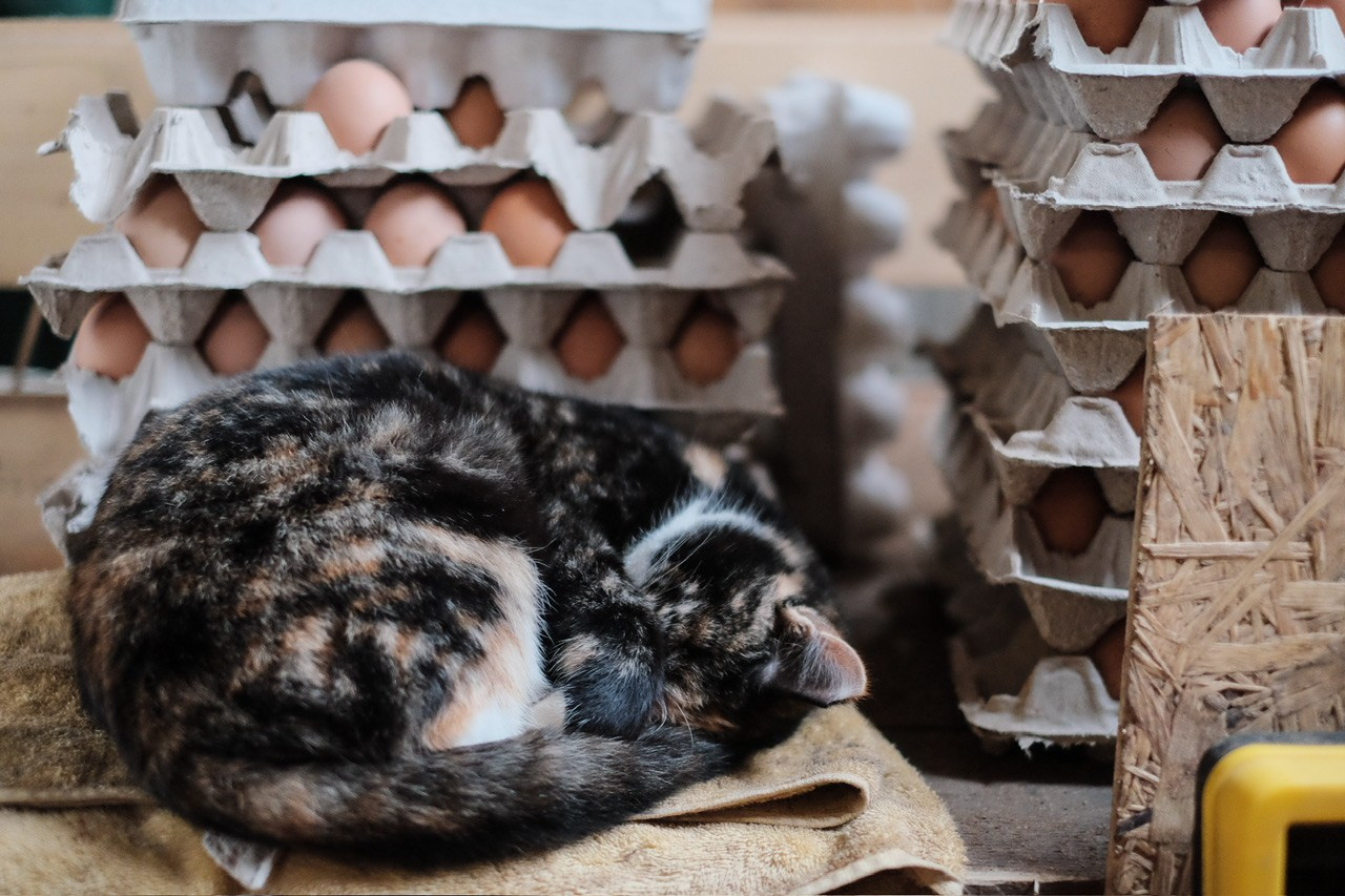 Последнее утро. Фотограф Евгений Андреев