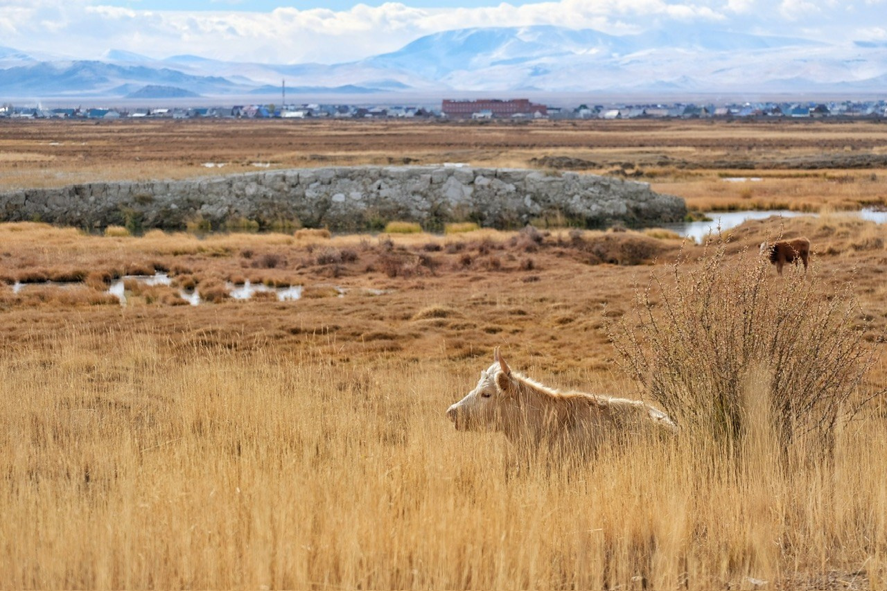Алтай. Фотограф Евгений Андреев