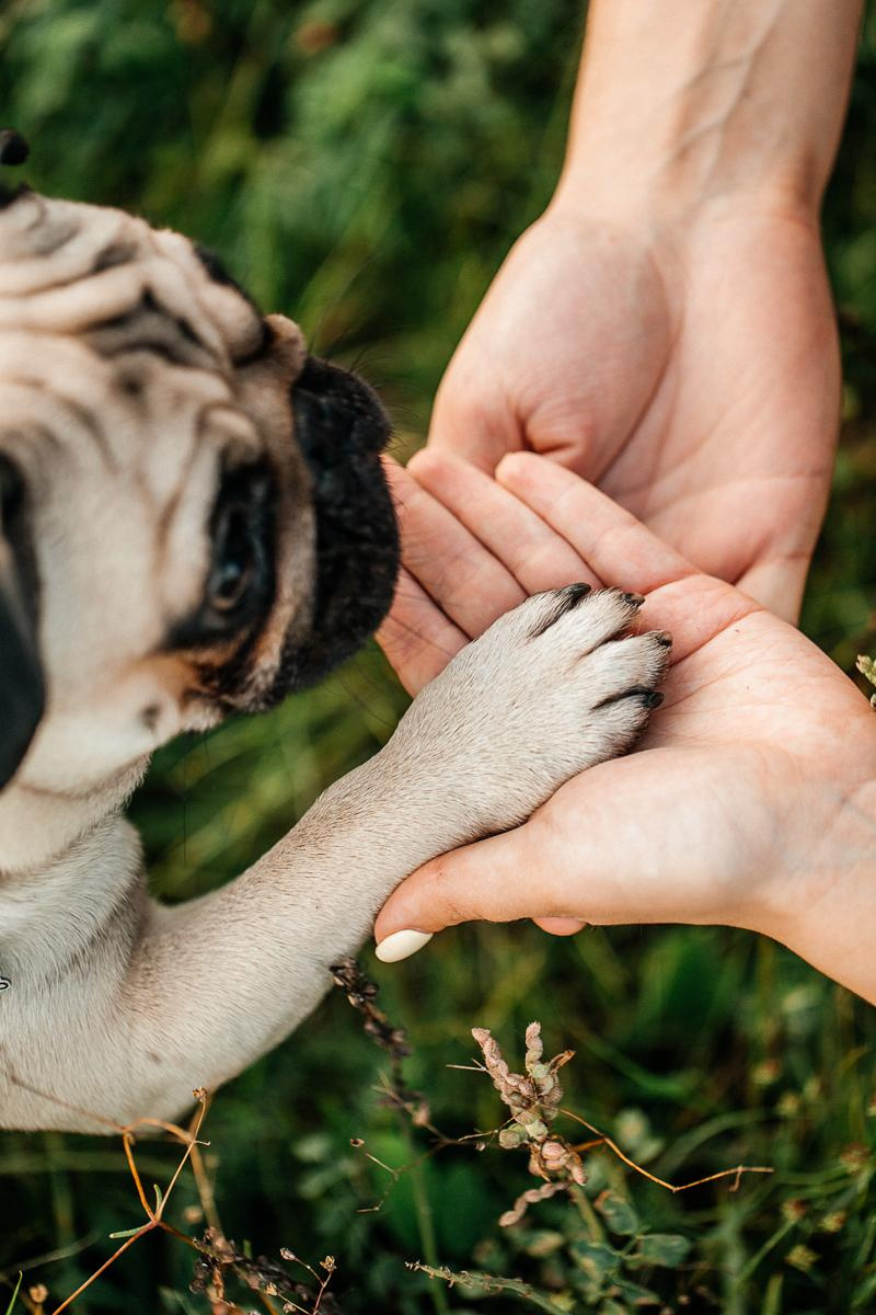 Яна и Иван. Фотограф Подсумкина Ирина