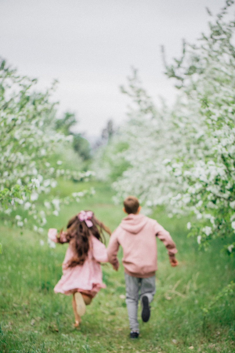 Яблоня. Фотограф Подсумкина Ирина
