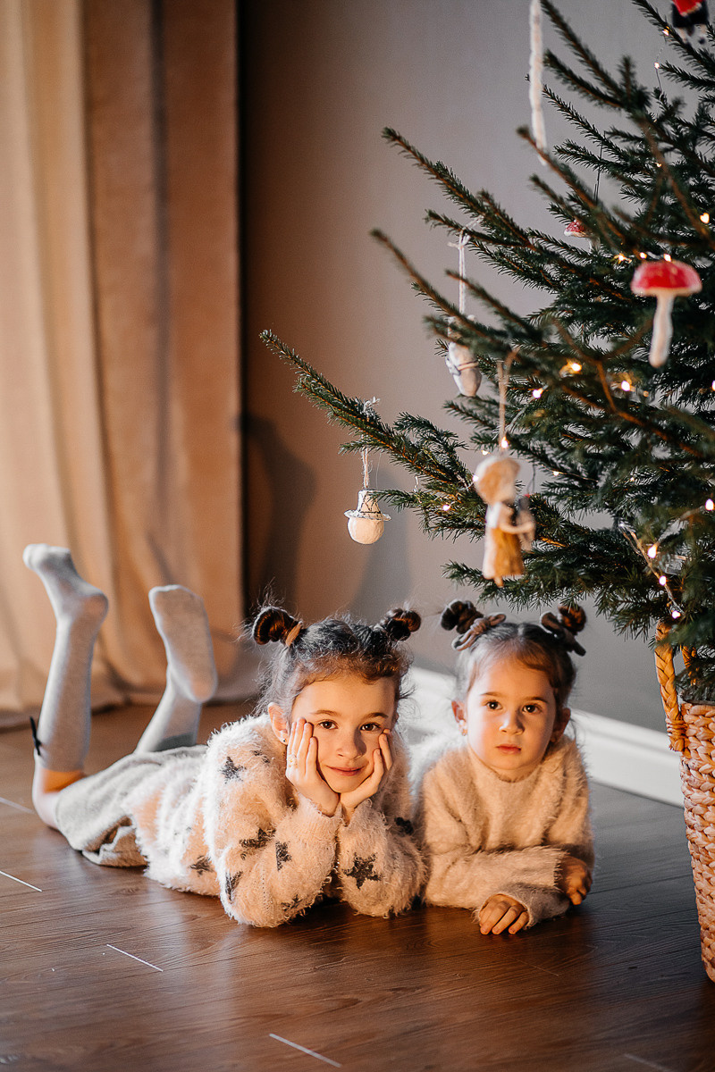 Дом под Новый Год. Фотограф Подсумкина Ирина