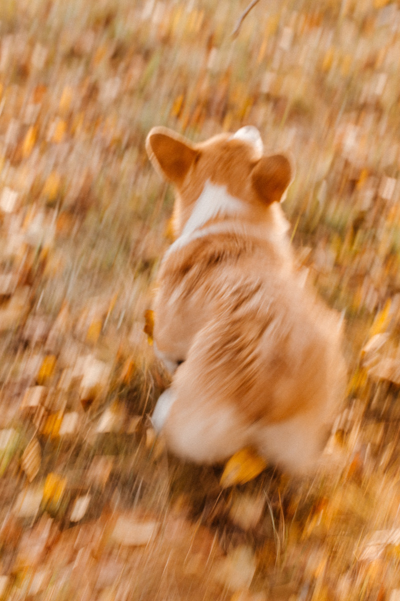 Карина. Фотограф Подсумкина Ирина