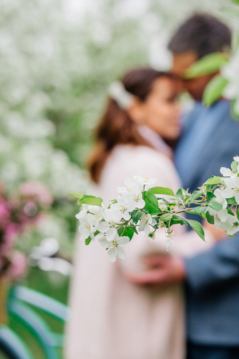 Яблоня. Фотограф Подсумкина Ирина