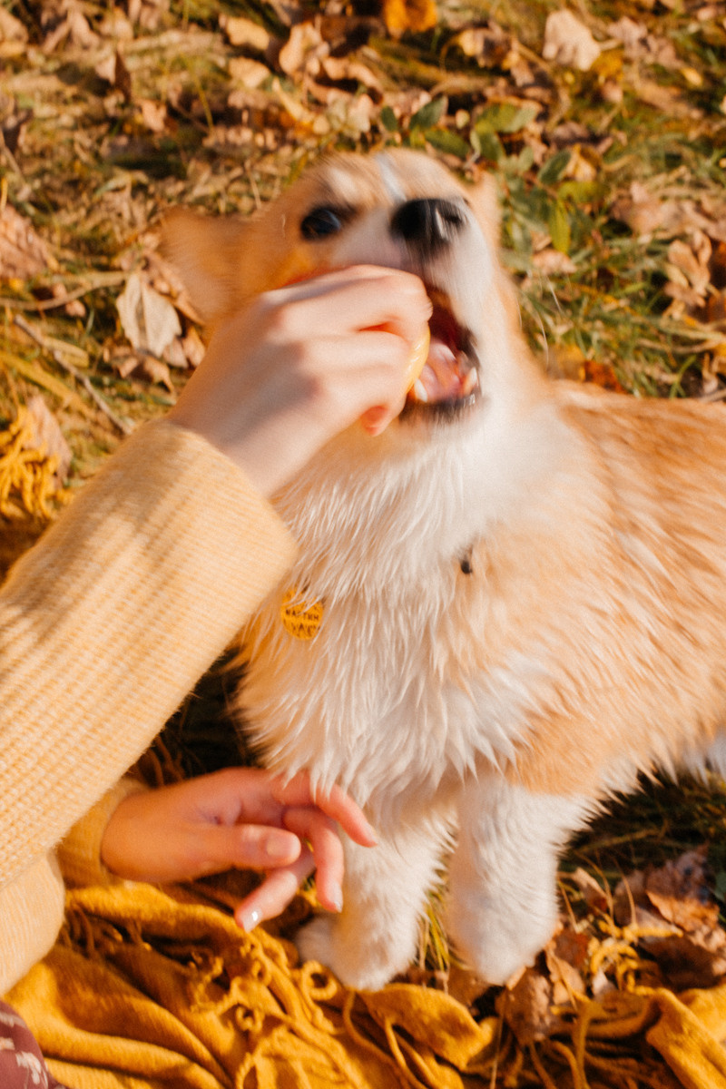 Карина. Фотограф Подсумкина Ирина