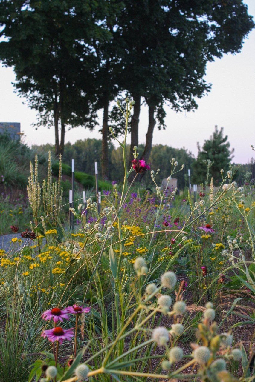 Участок в пейзажном силе. Дизайн интерьера, мебели и ландшафта на КМВ | OXY Design