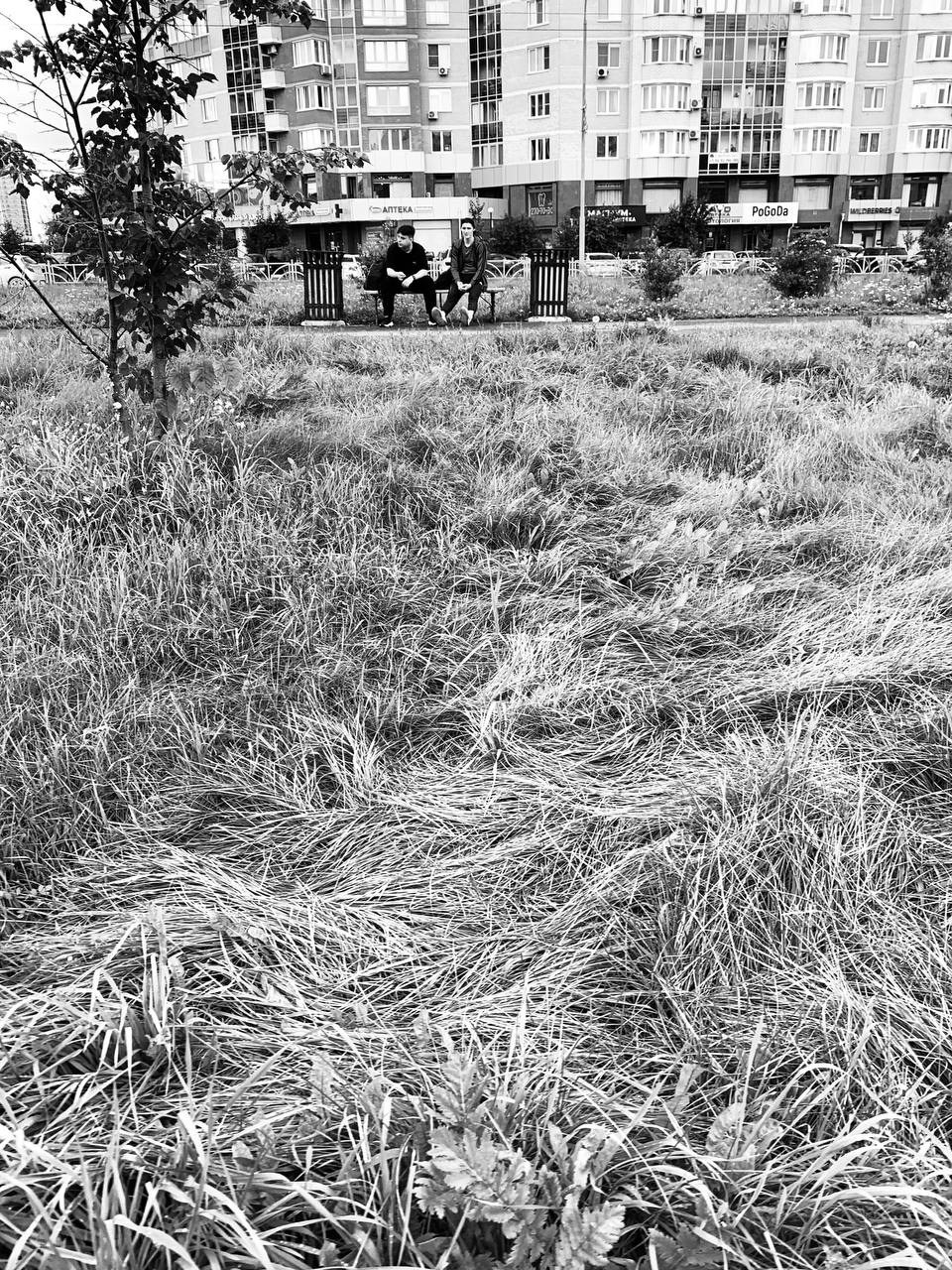 Стрит фото. Фотограф в Екатеринбурге Татьяна Соколовская