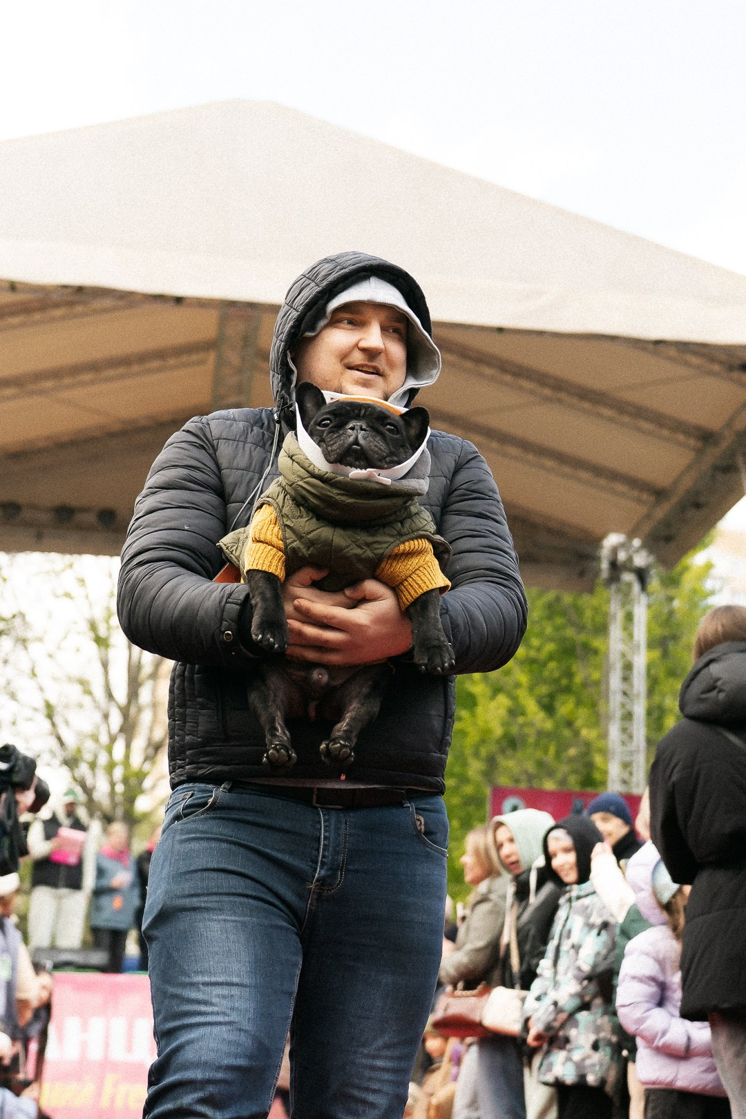 Парад Бульдогов. Axenov_eugene