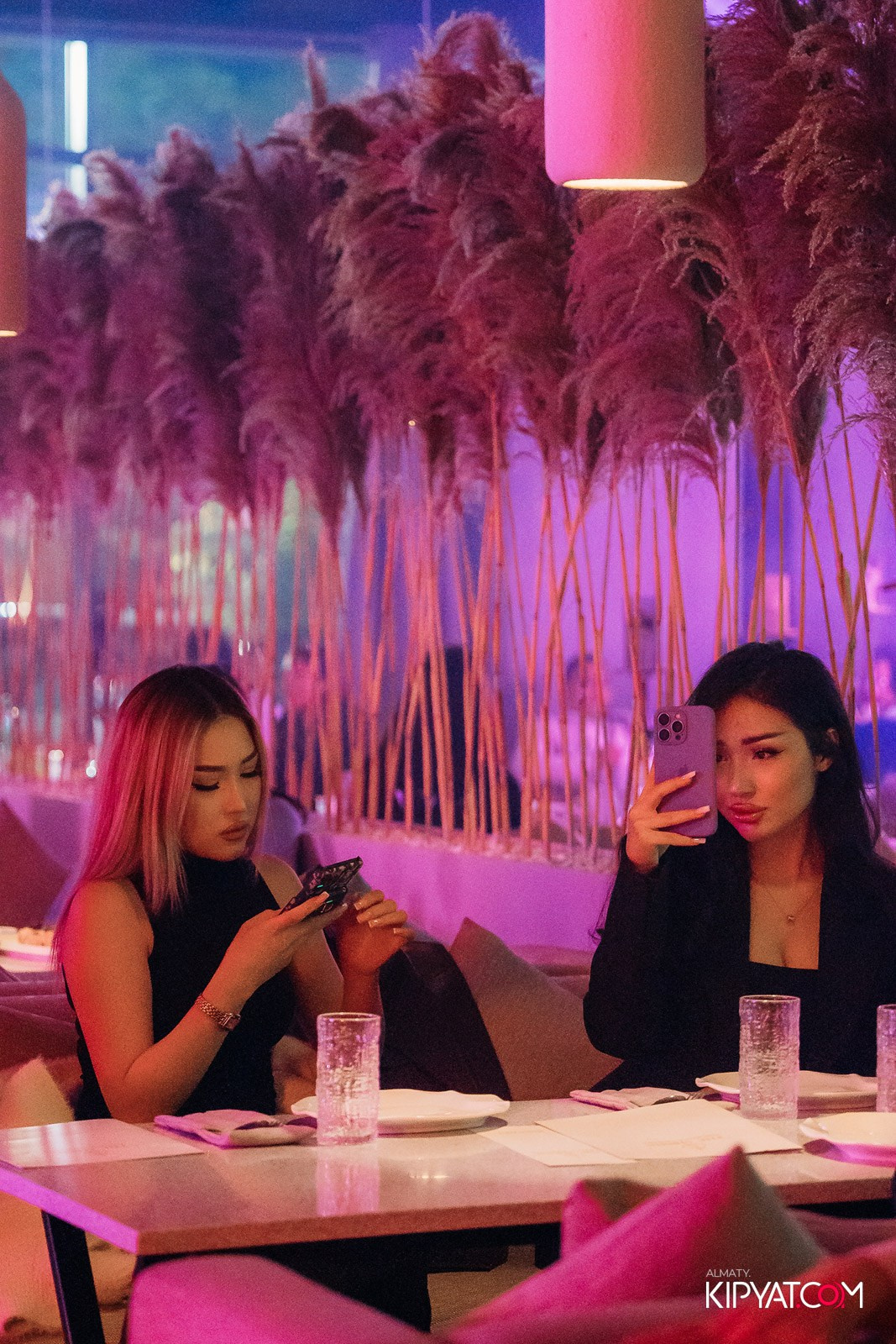 SHISHA PLATINUM. КИПЯТКОМ АЛМАТЫ!