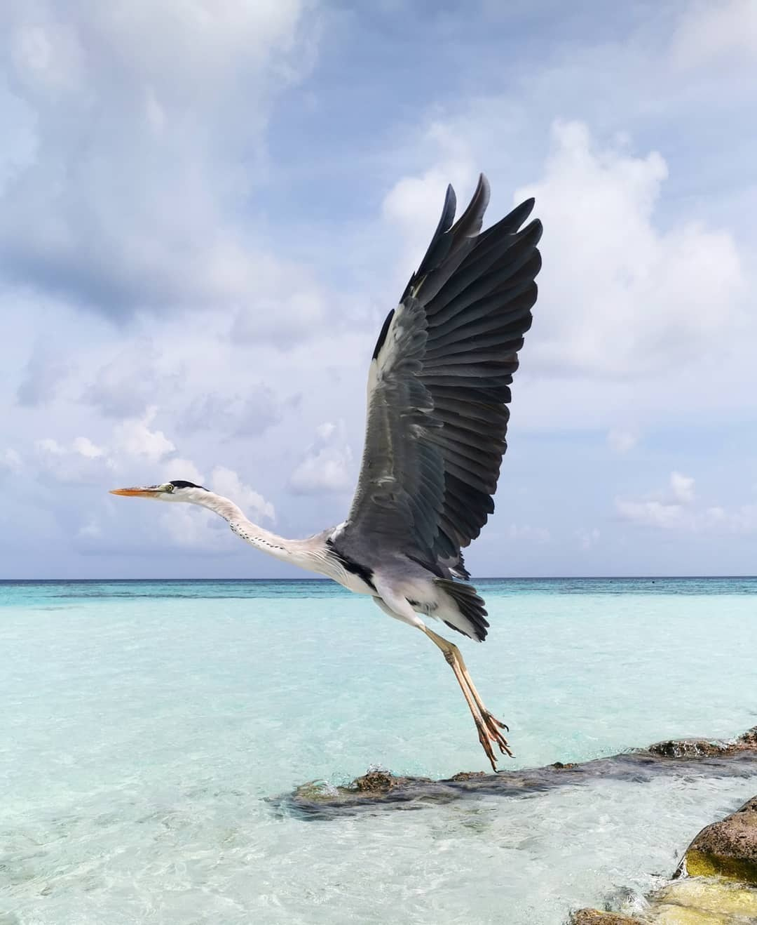 Anka`s Instagram. Заставка