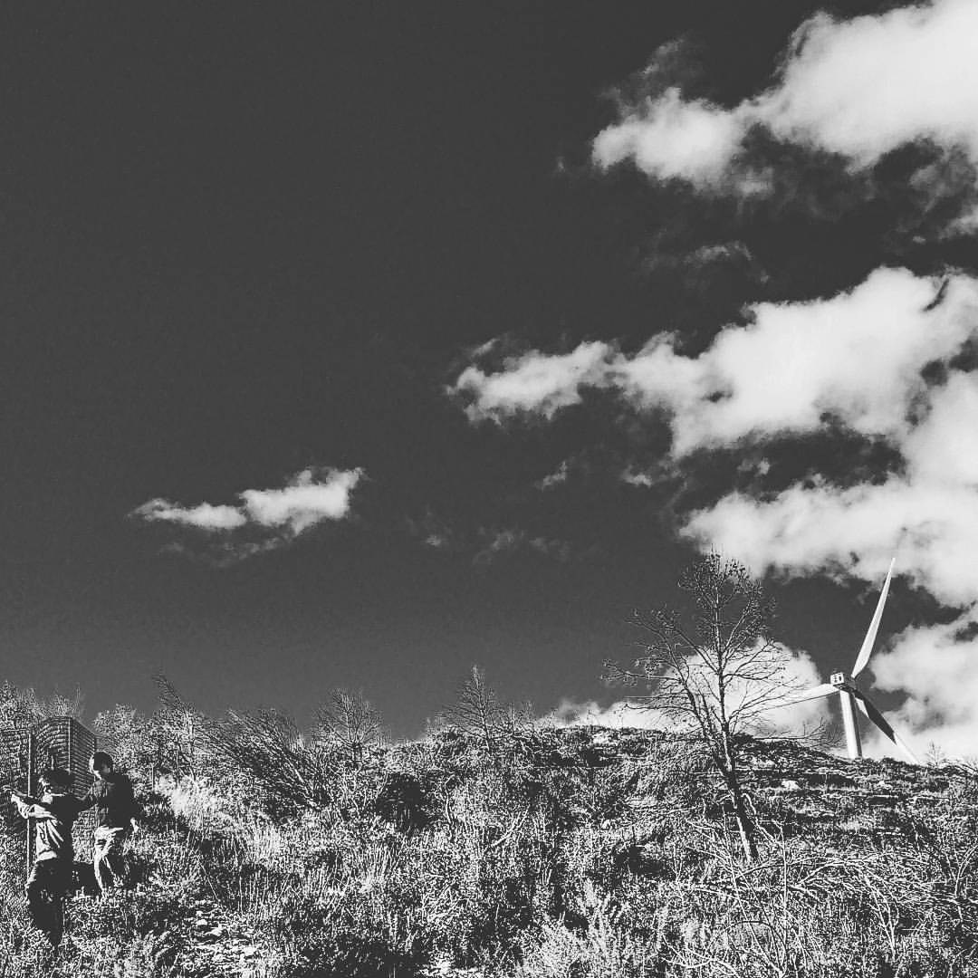 Bashnin instagramm. Заставка