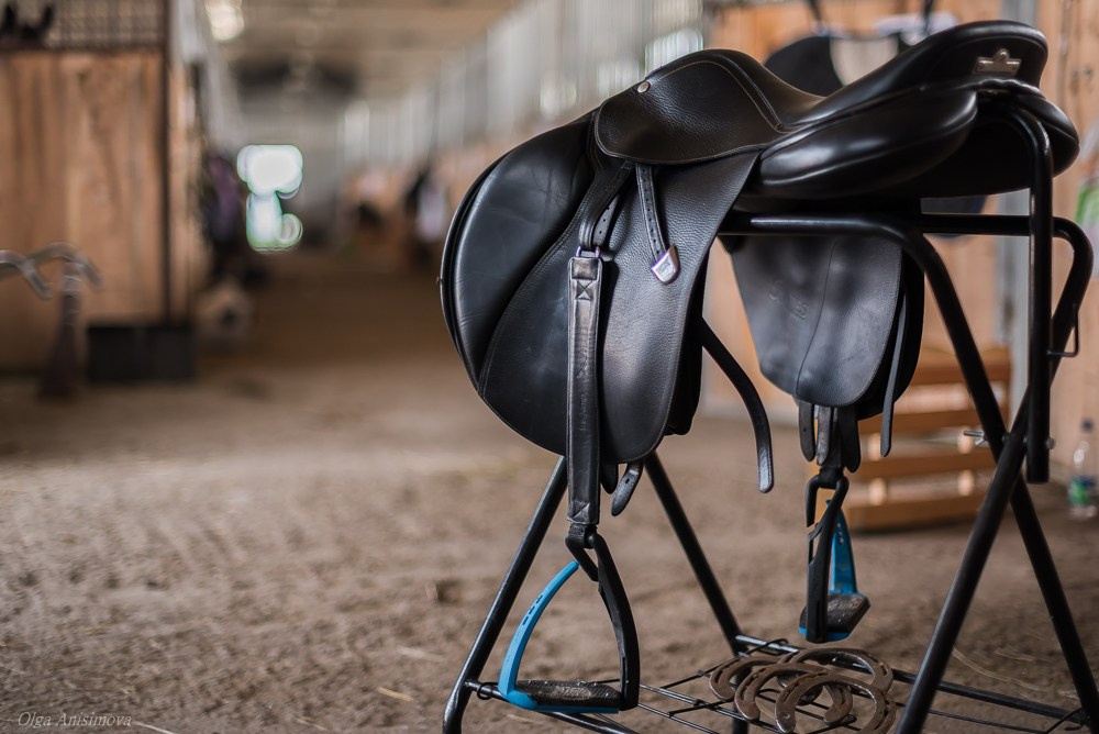 Спортивный репортаж. Фотоагентство для бизнеса и частных лиц в Екатеринбурге