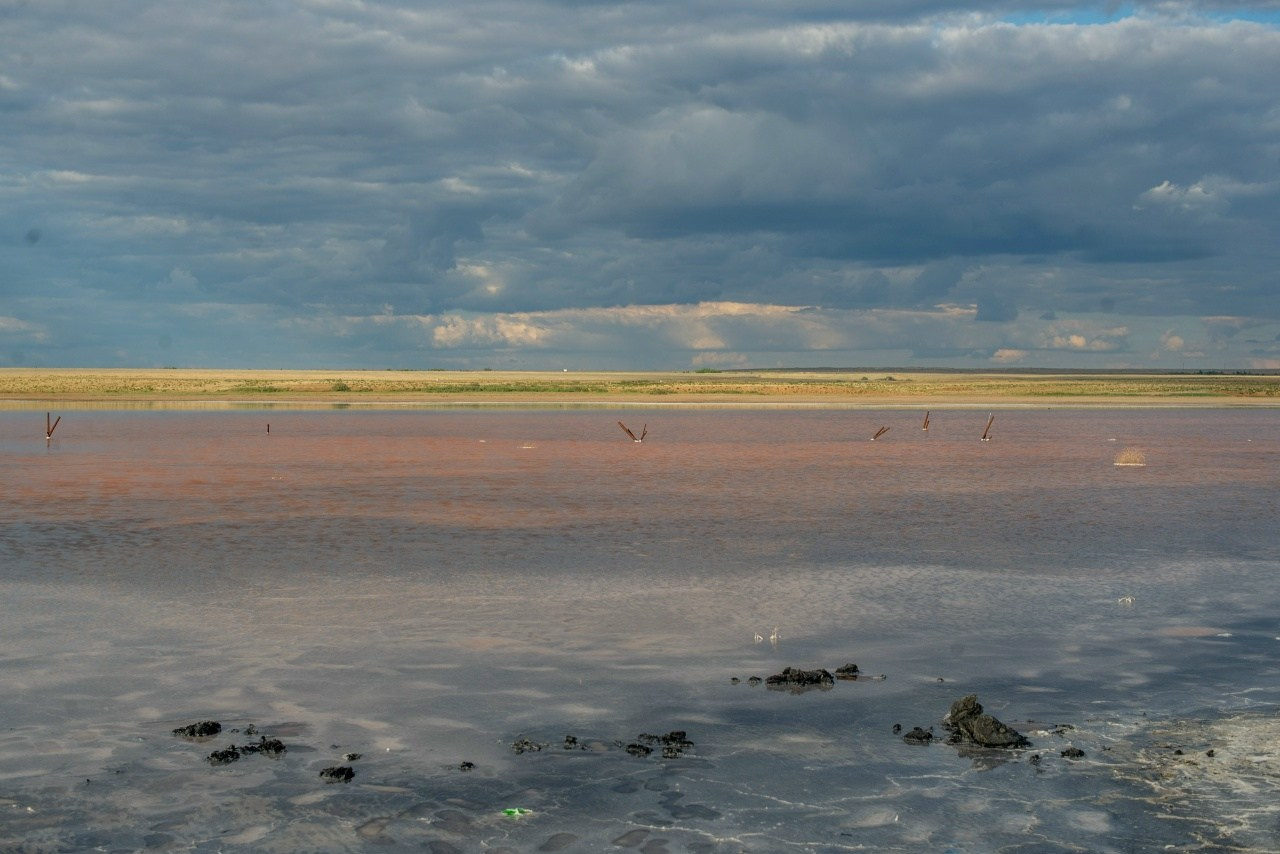 Lake Elton. The Kingdom of Salt. Travel photographer Max Muze