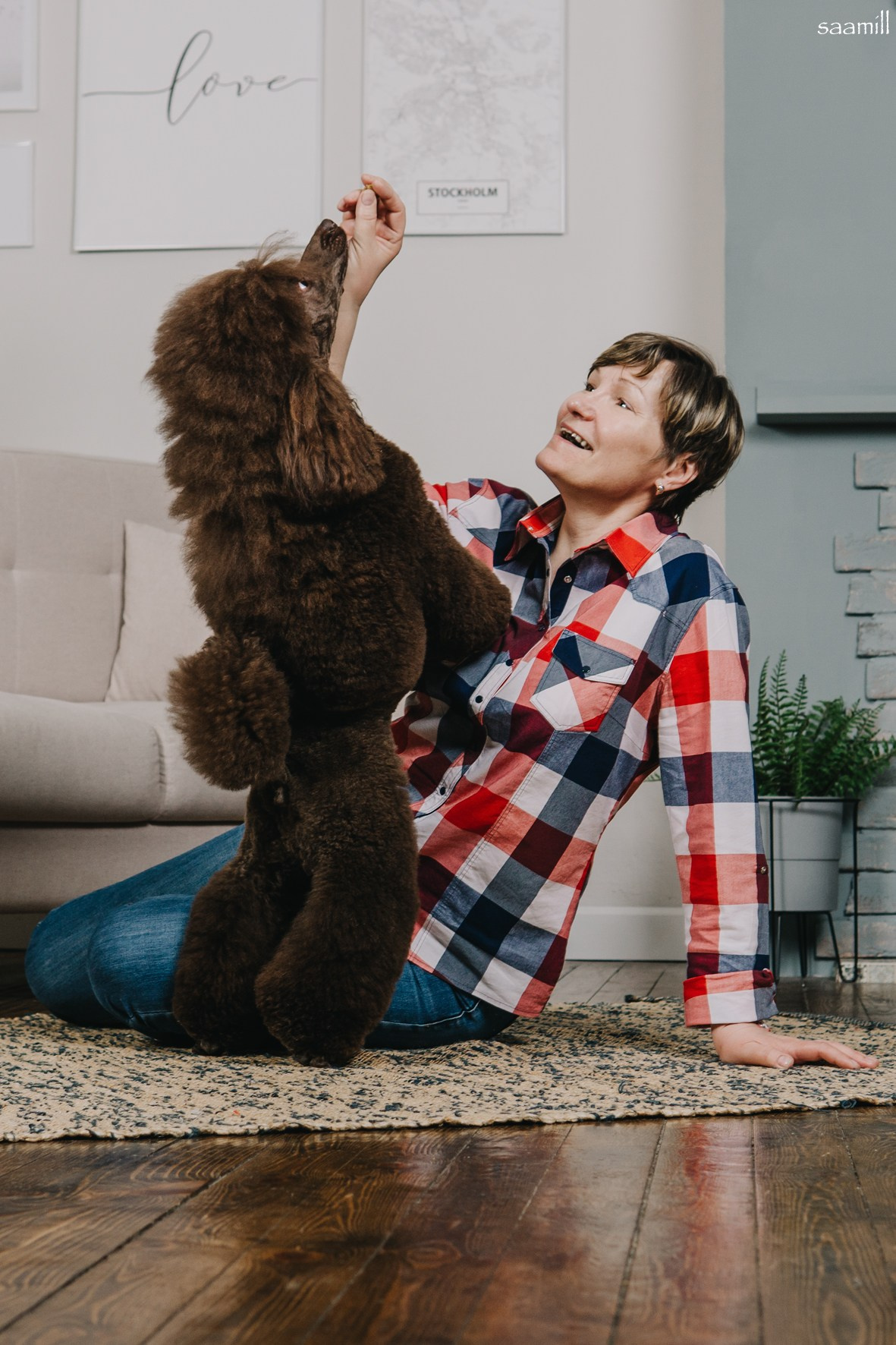 Life with dog. Saamill