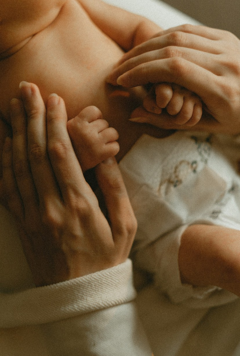 Family. Главная