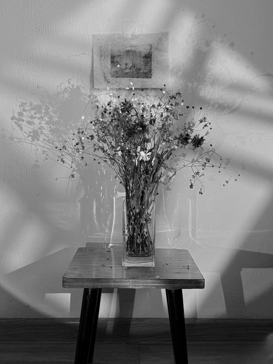 Марафон «Другая сторона света». Женский семейный фотограф Тула Москва Захарова Анна