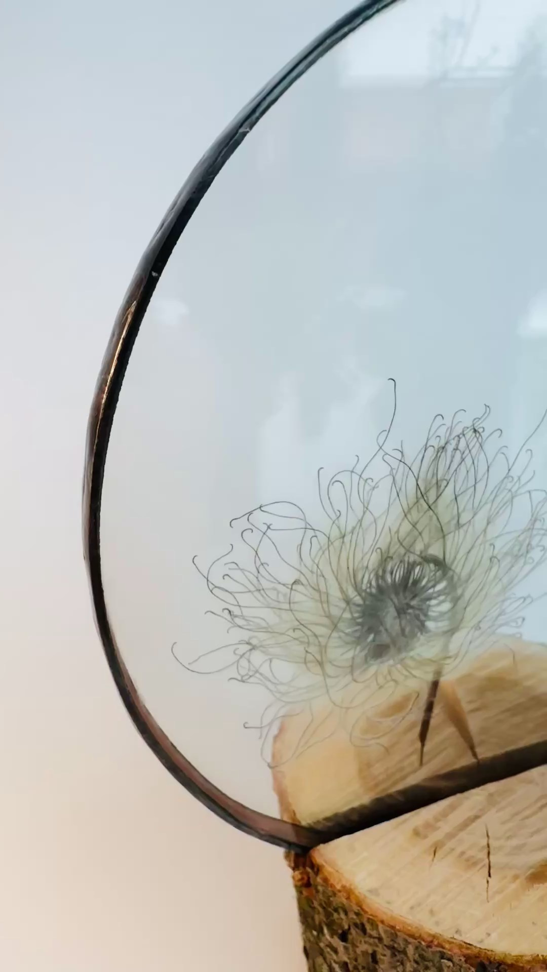 Гербарий в стекле с сухоцветами (витраж в технике тиффани). Гербарий в стекле, интерьерные панно, витражи с сухоцветами в технике тиффани