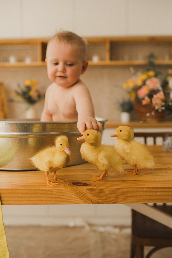 «Пасхальный купашки Настеньки». Свадебный и семейный фотограф в Белгороде Евгения Курочкина
