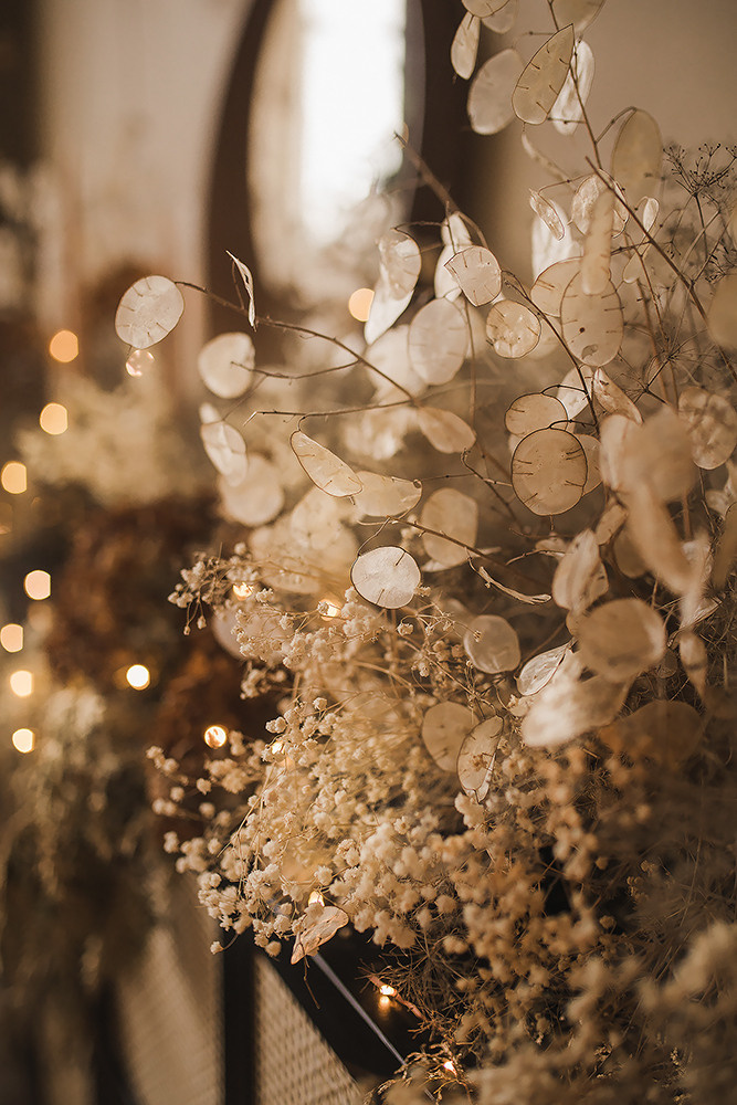 Дима Оля. Свадебный и семейный фотограф в Белгороде Евгения Курочкина