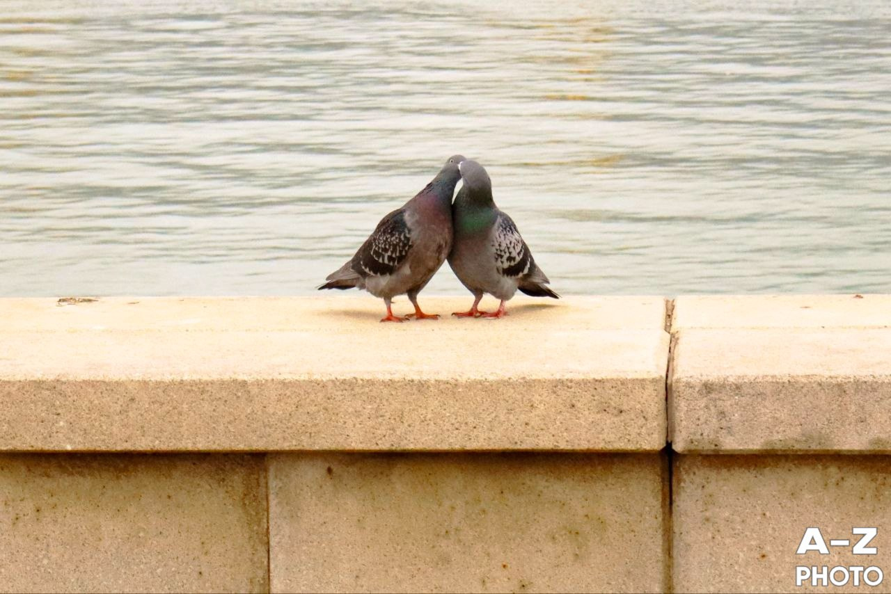#ФОТОНЕДЕЛИ 13.04.2026. Женский семейный фотограф Тула Москва Захарова Анна
