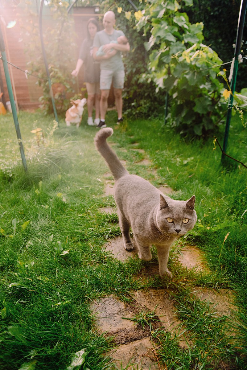 Дачный Марк. Семейный и свадебный фотограф в Рязани Лиза Голованова