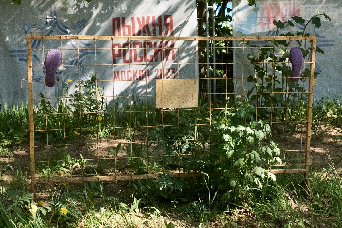 Окна 25. Иван Кобяков