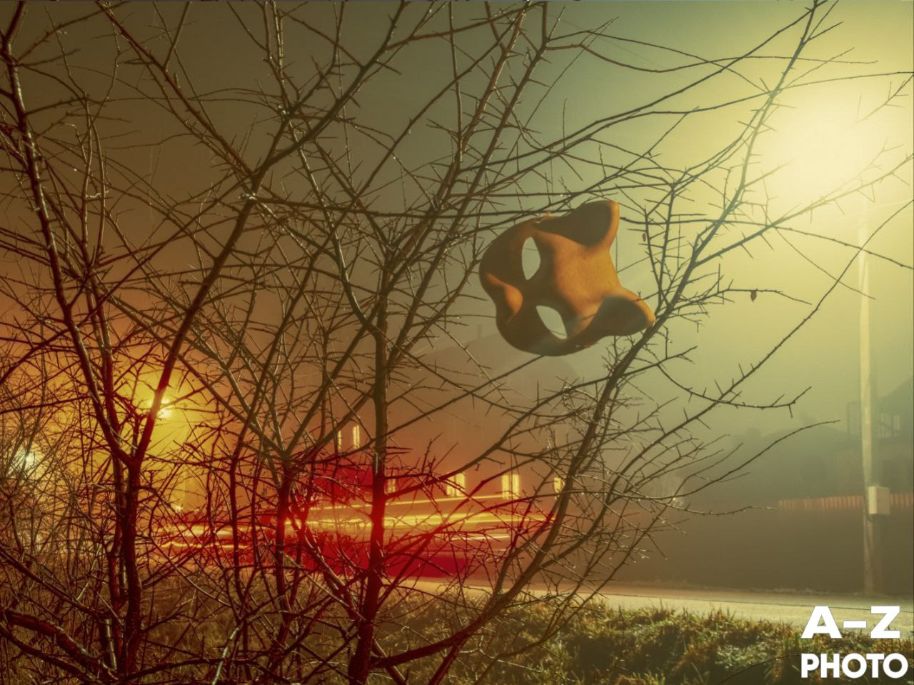 #ФОТОНЕДЕЛИ 08.12.2025. Женский семейный фотограф Тула Москва Захарова Анна