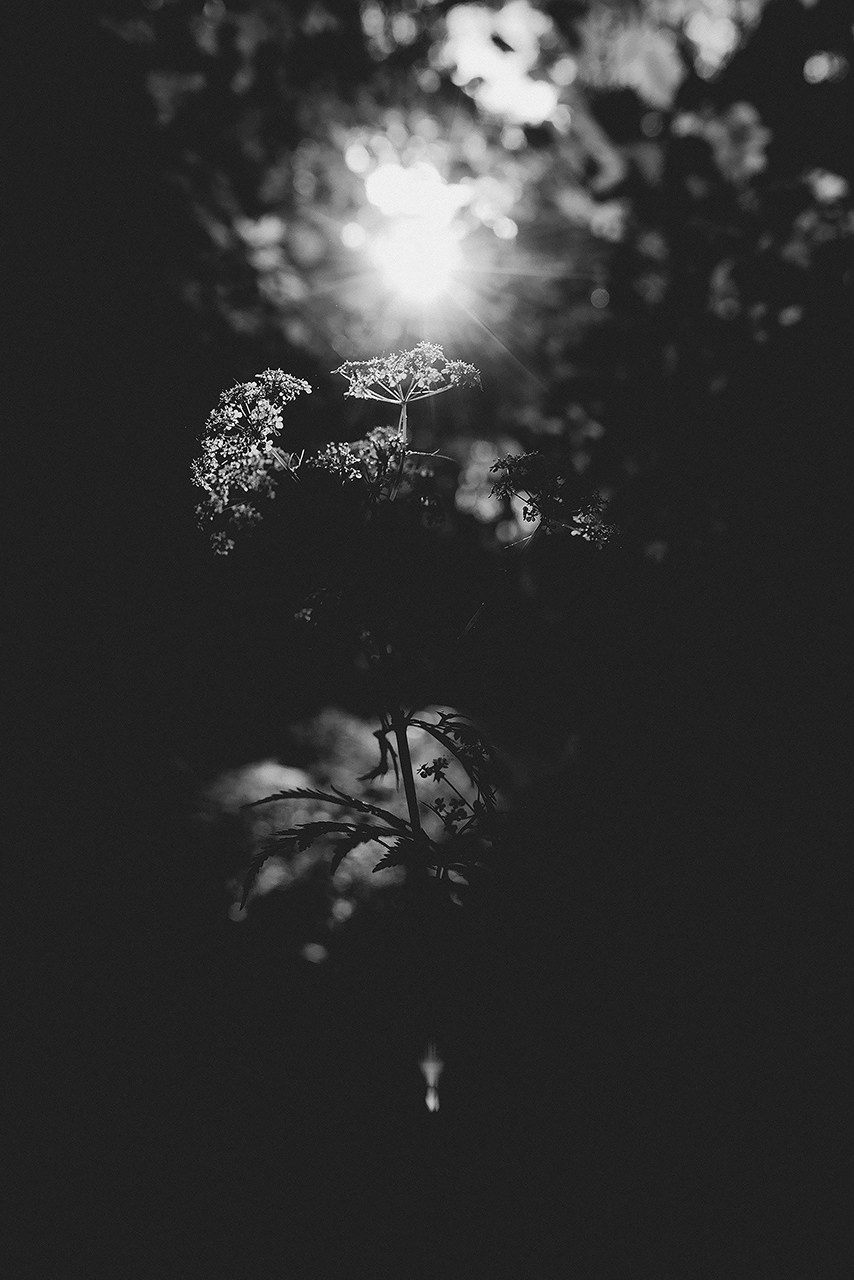 В лесу. Фотограф Владимир Орлов