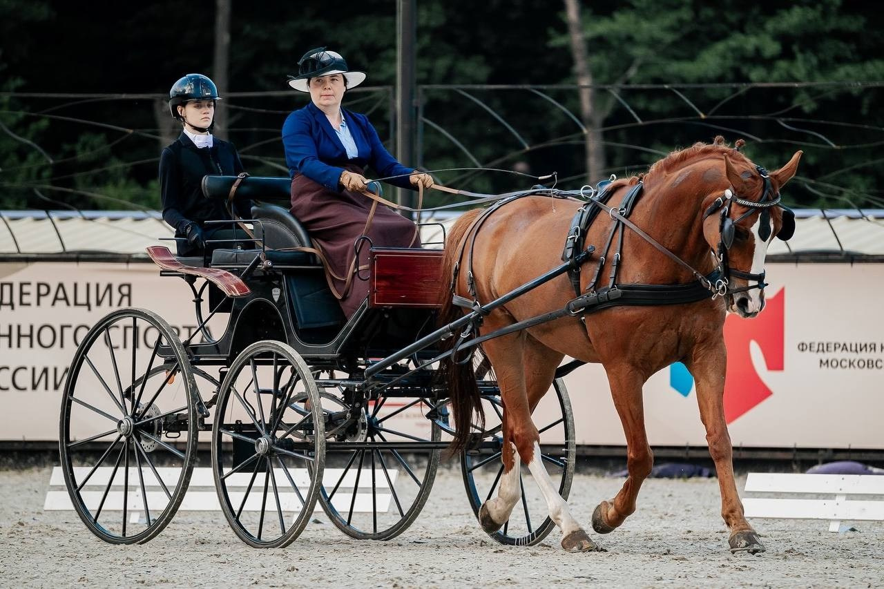 Чемпионат по ДРАЙВИНГУ. Куракина Дарья • Конный фотограф
