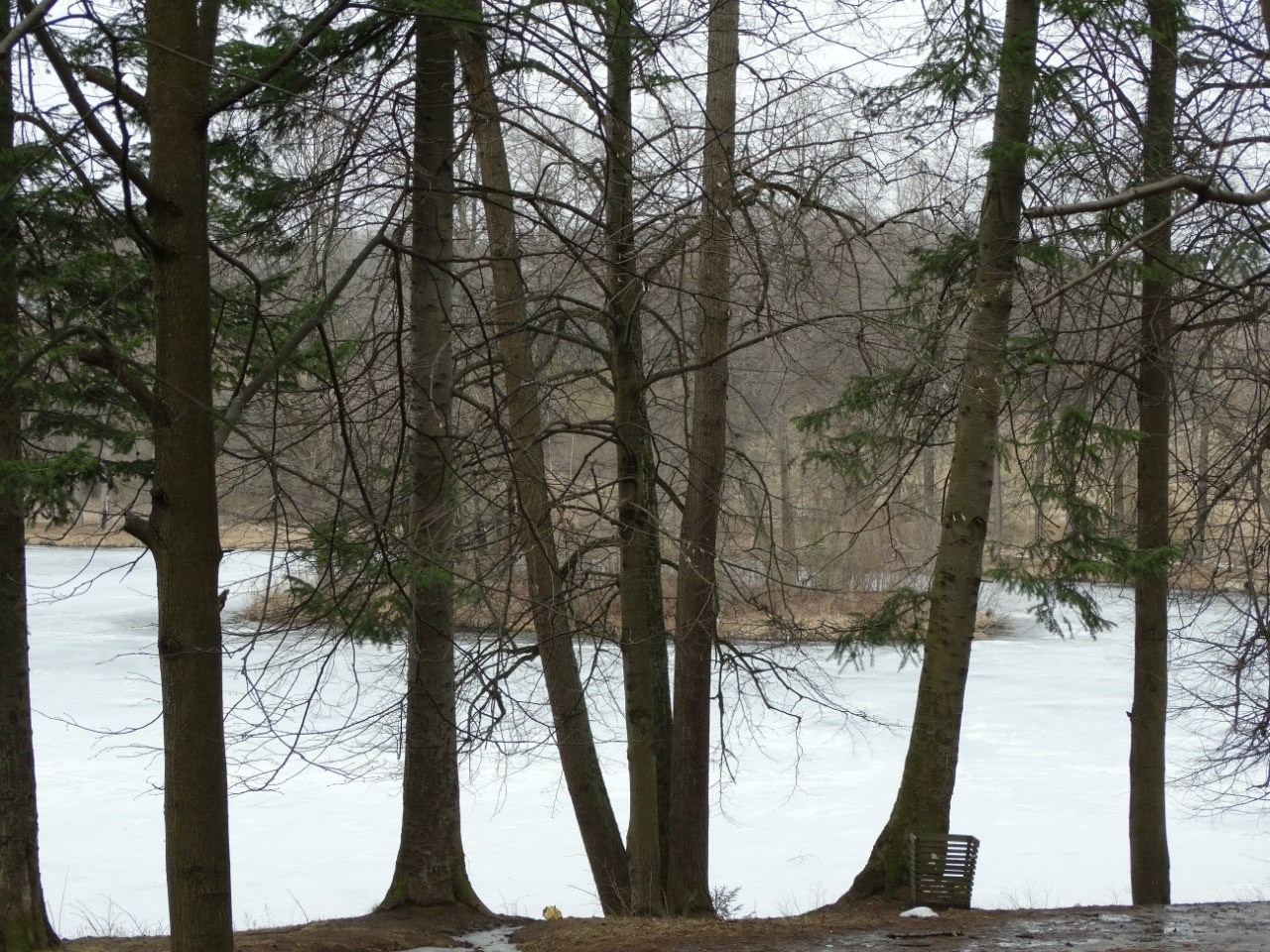 Середниково — Piligrim Porto — Братцево — Сходненская чаша | 09.04.2016. Галерея Фантим
