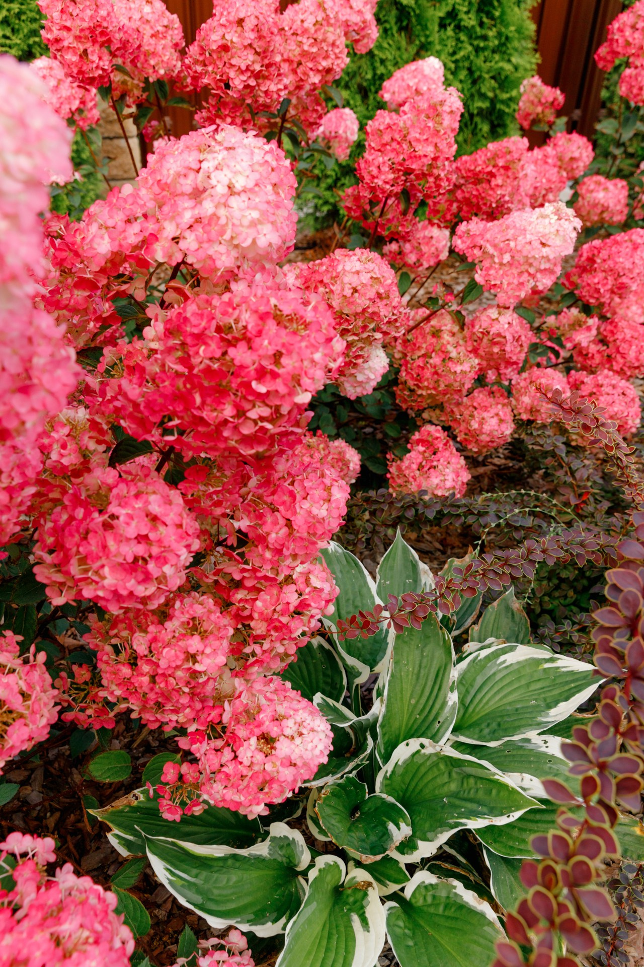 Загородный дом. Ландшафтный дизайн. Репортажный фотограф в Санкт-Петербурге Жолудев Владислав