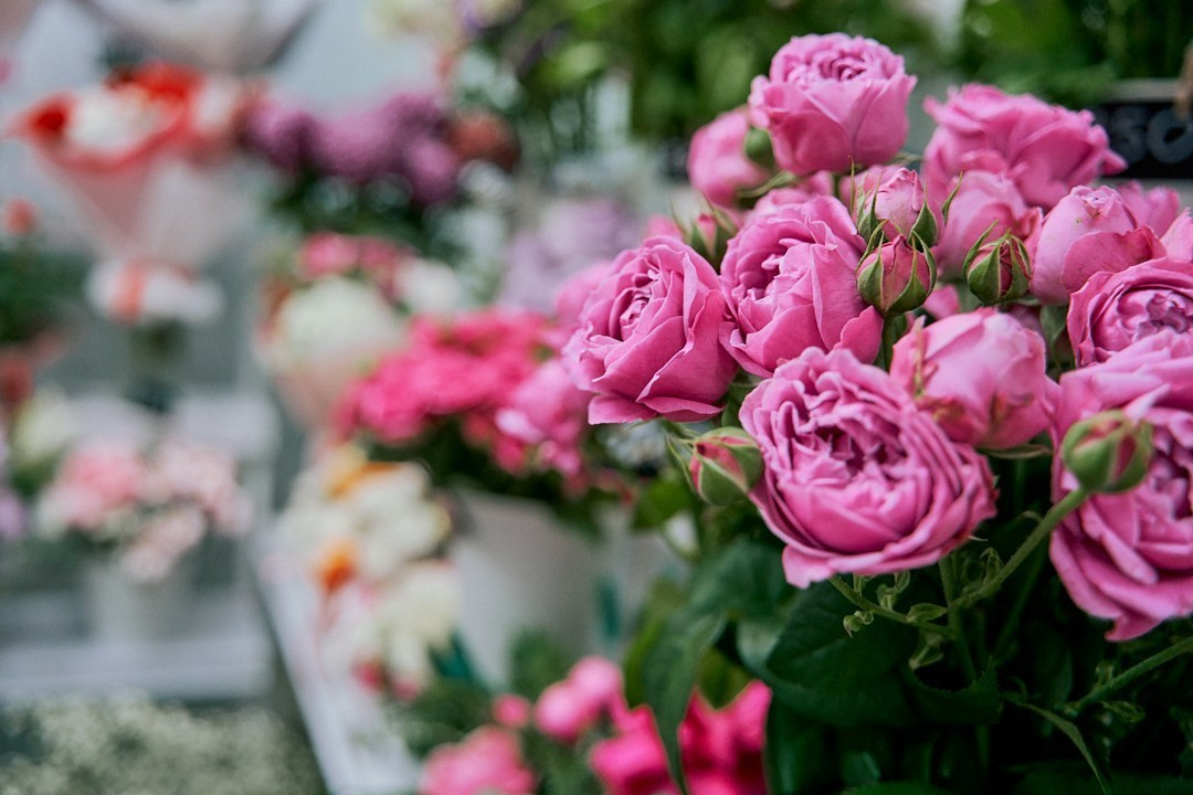 Отзывы. Светлана Юстус, портретный фотограф в Новосибирске