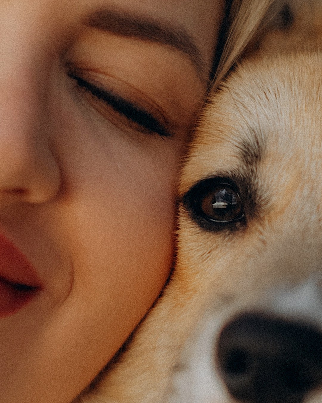Катя и Берта. Фотограф анималист в Москве и Санкт-Петербурге Свиридова Анна